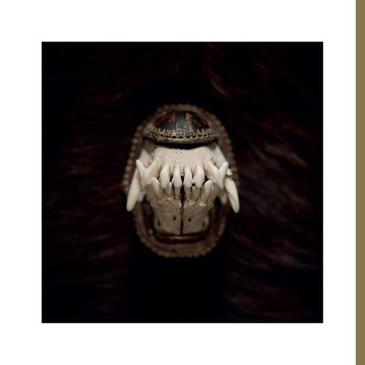 Amenra - De toorn (Copper Nugget, Coloured Vinyl, Ep 12-inch maxi-single)