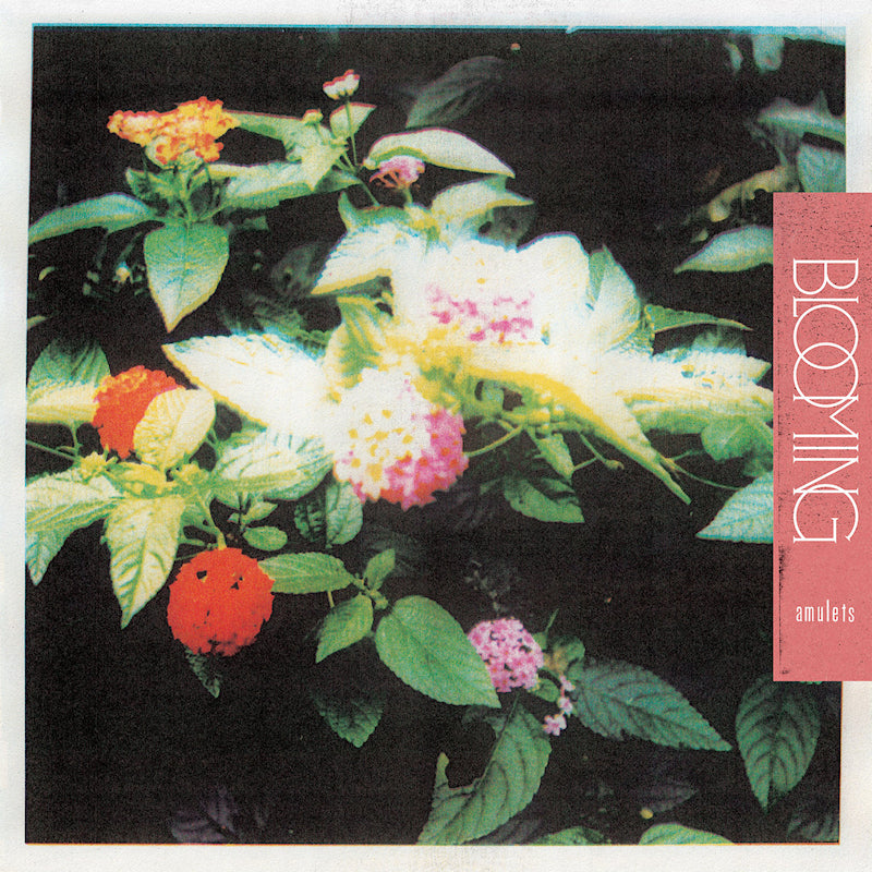 Amulets - Blooming (LP)