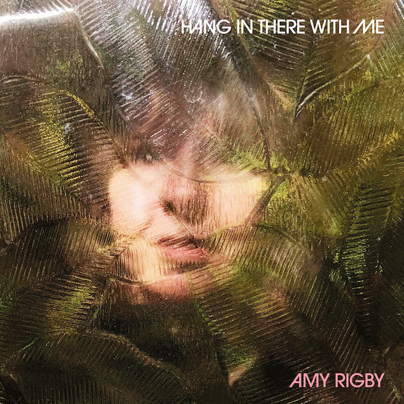Amy Rigby - Hang in there with me (CD)