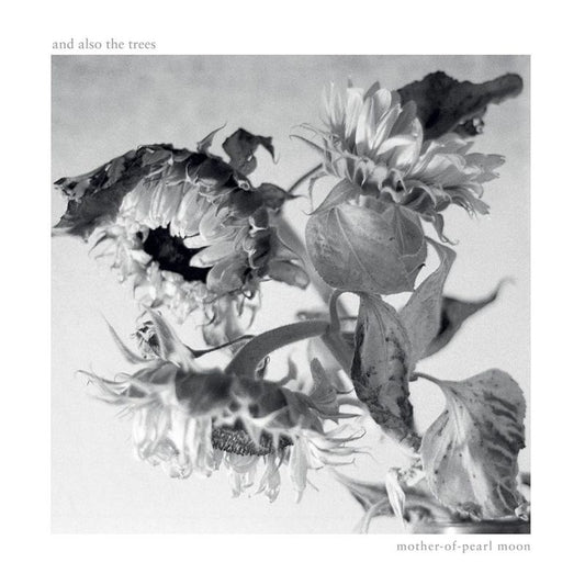And Also The Trees - Mother-of-pearl moon (CD)