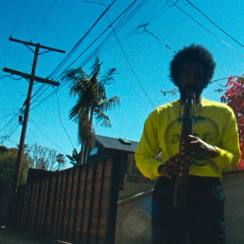 Andre 3000 - Moving day (LP)