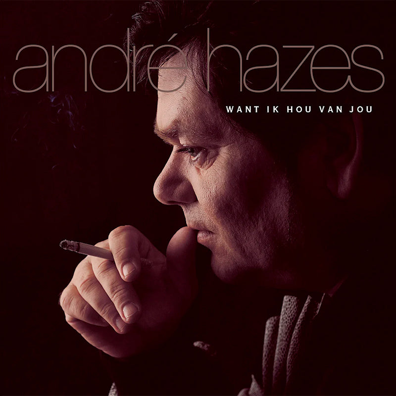 André Hazes - Want ik hou van jou (LP)