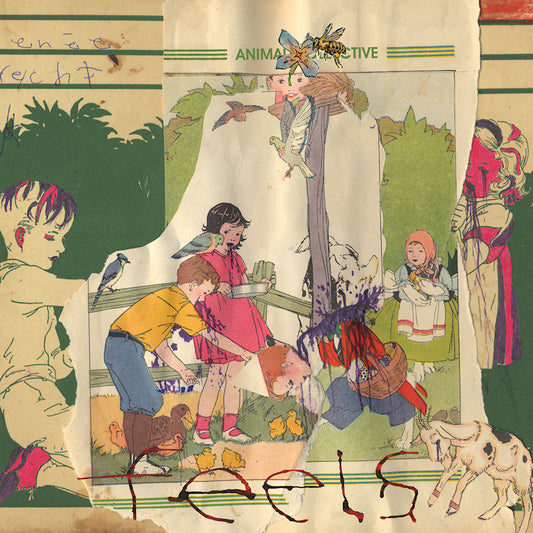 Animal Collective - Feels (Gatefold Sleeve, Anniversary Edition, Reissue CD)