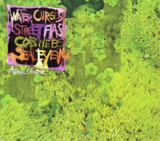 Animal Collective - Water curses (Digipak, Gatefold Sleeve CD)