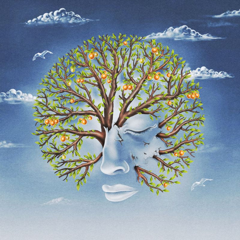 Another Sky - Life was coming in through the blinds (LP)