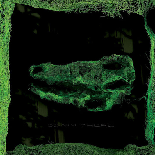Avey Tare - Down there (CD)