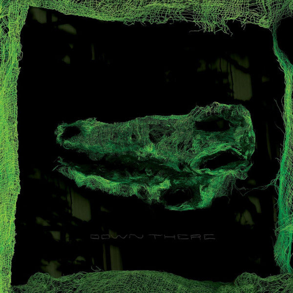 Avey Tare - Down there (LP)