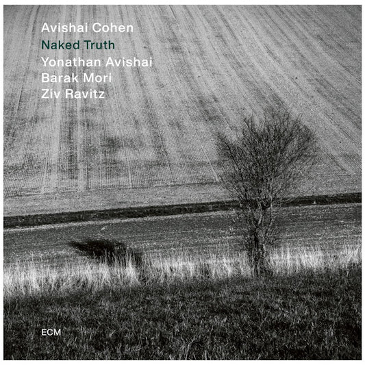 Avishai Cohen - Naked truth (Ft. Yonathan Avishai/Barak Mori/Ziv Ravitz CD)