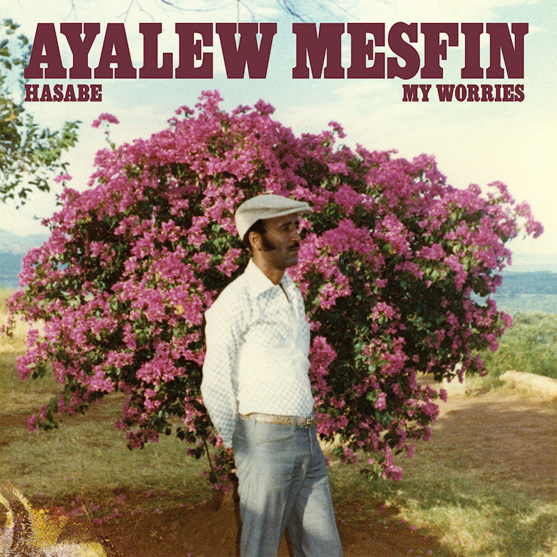 Ayalew Mesfin - Hasabe - my worries (LP)