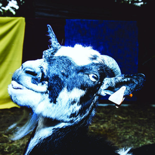 Barely Autumn - Day trip to the petting zoo (.. the Petting Zoo, Digisleeve CD)