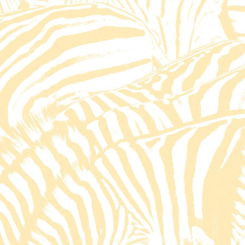 Beach House - Teen dream (LP)