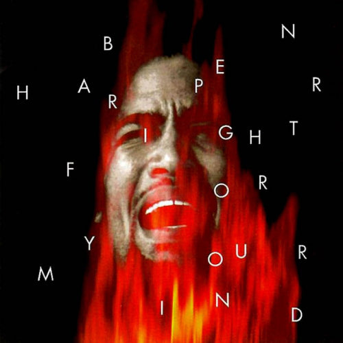 Ben Harper - Fight for your mind (Red and Green Re-Issue W/Embossed Lett. Numb.Ltd 500 LP)
