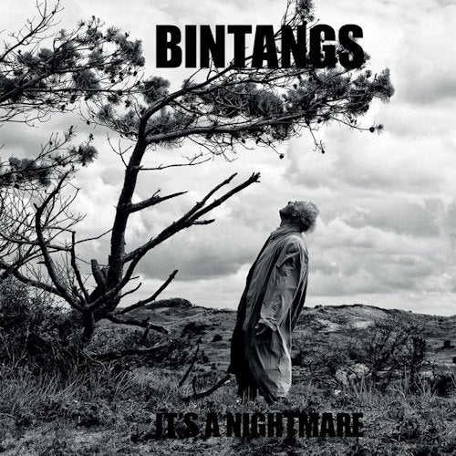 Bintangs - It's a nightmare (180g White Vinyl, High Quality, Limited Edition, Coloured Vinyl LP)