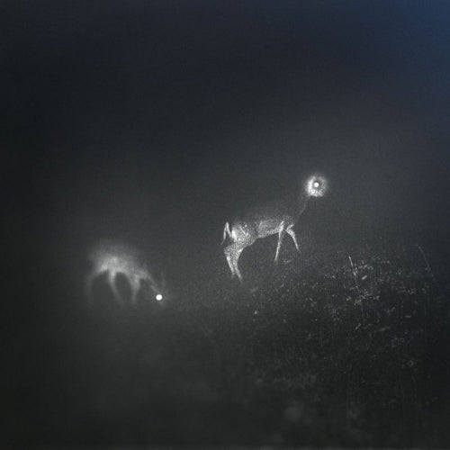 Bliss Signal - Bliss signal (LP)