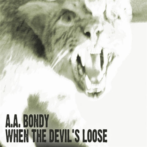 A.a. Bondy - When the devil's loose (.. Loose, Digipak CD)