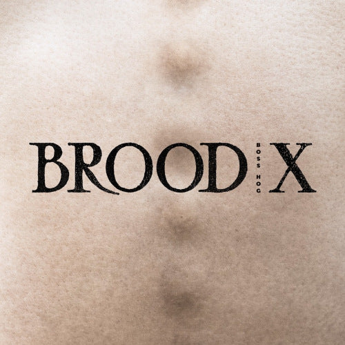 Boss Hog - Brood x (LP)