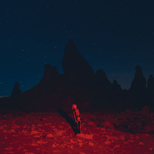 Phoebe Bridgers - Punisher (Incl. 24-Page Illustrated Lyric Booklet, Gatefold Sleeve LP)