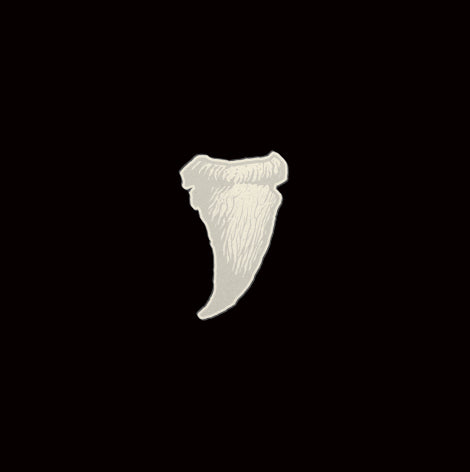 Budos Band - Long in the tooth (LP)