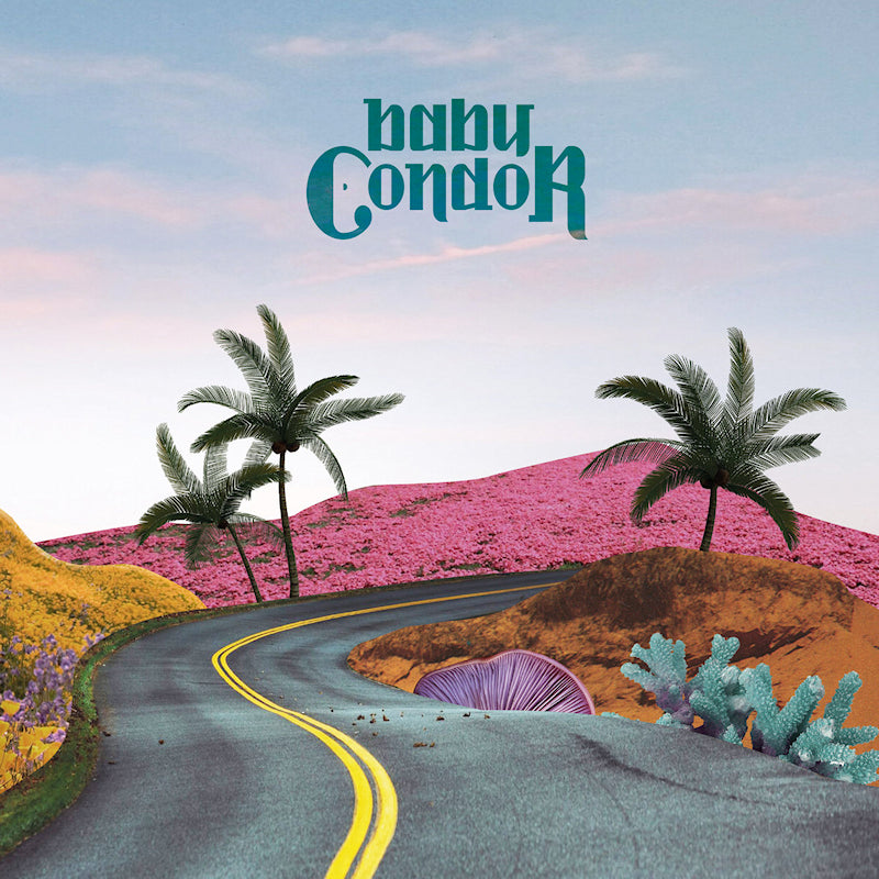 Baby Condor - Baby condor (LP)