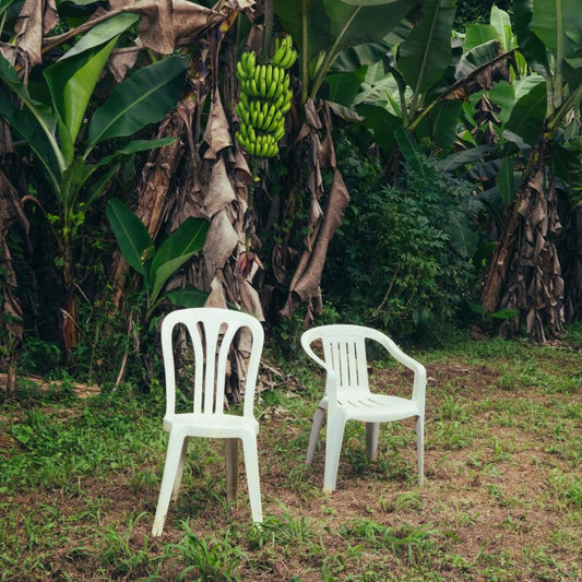 Bad Bunny - Debi tirar mas fotos (LP)