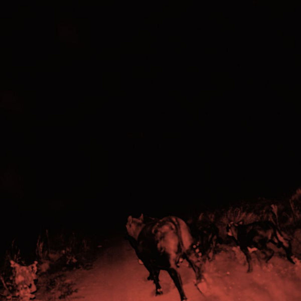 Bambara - Shadow on everything (CD)