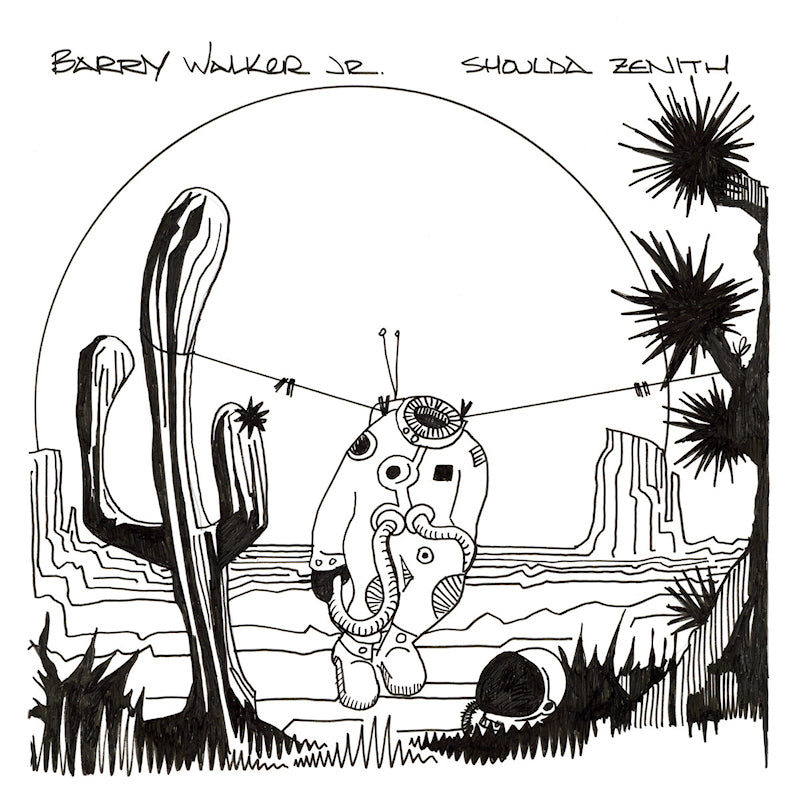Barry Walker -jr- - Shoulda zenith (LP)
