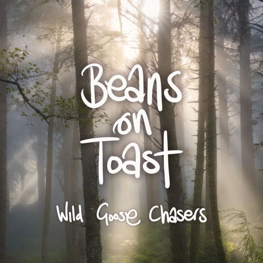 Beans On Toast - Wild goose chasers (Picture Disc LP)