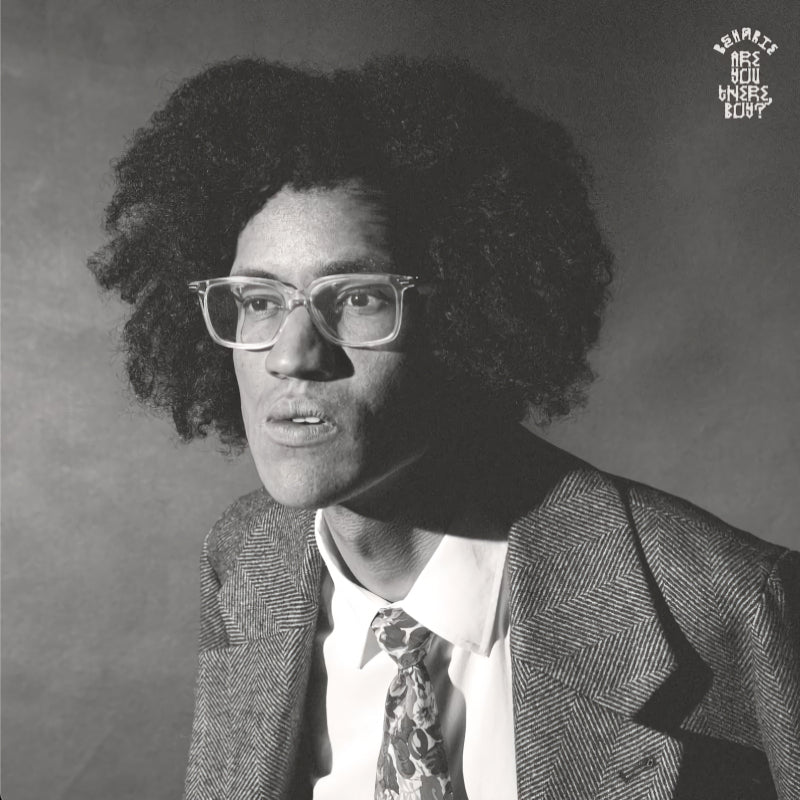 Beharie - Are you there, boy ? (LP)