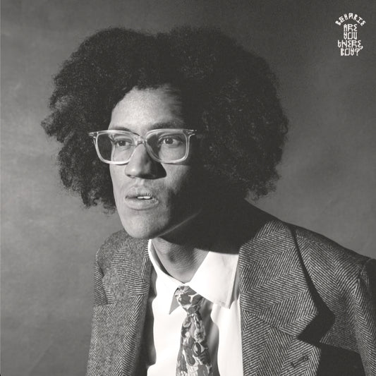 Beharie - Are you there, boy ? (LP)