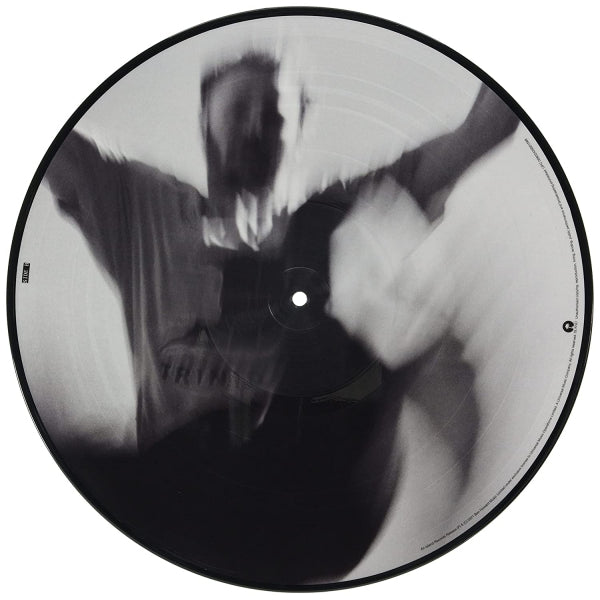 Ben Howard - Collections from the whiteout (.. the Whiteout / 180gr., High Quality, Picture Disc LP)
