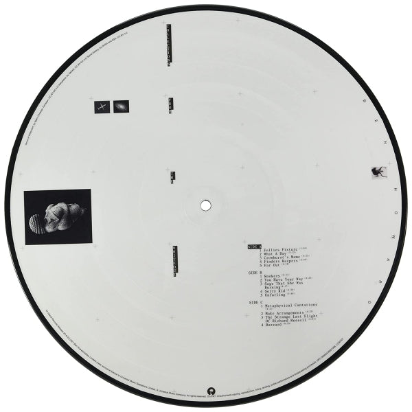 Ben Howard - Collections from the whiteout (.. the Whiteout / 180gr., High Quality, Picture Disc LP)