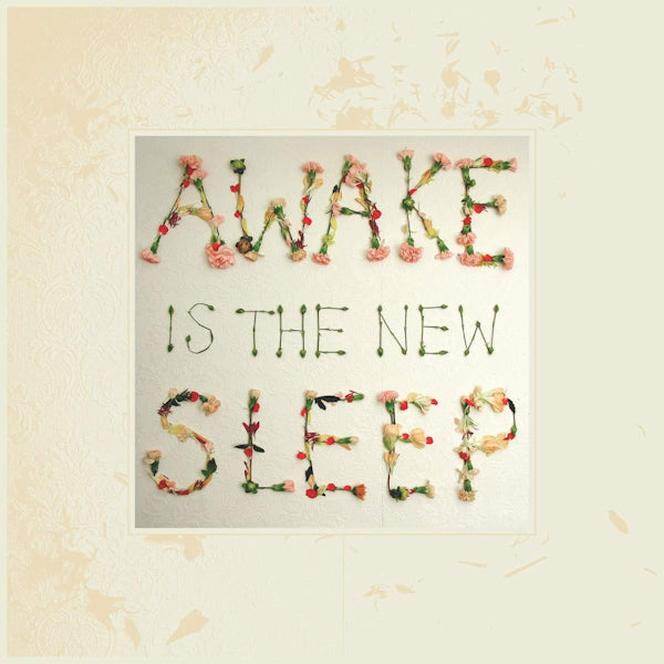 Ben Lee - Awake is the new sleep (10th Anniversary LP)