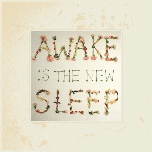 Ben Lee - Awake is the new sleep (10th Anniversary LP)