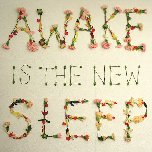 Ben Lee - Awake is the new sleep (Producer: Brad Wood (Liz Phair/Smashing Pumpkins) CD)