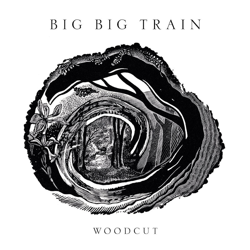 Big Big Train - Woodcut (Mediabook, Limited Edition blu ray movie)