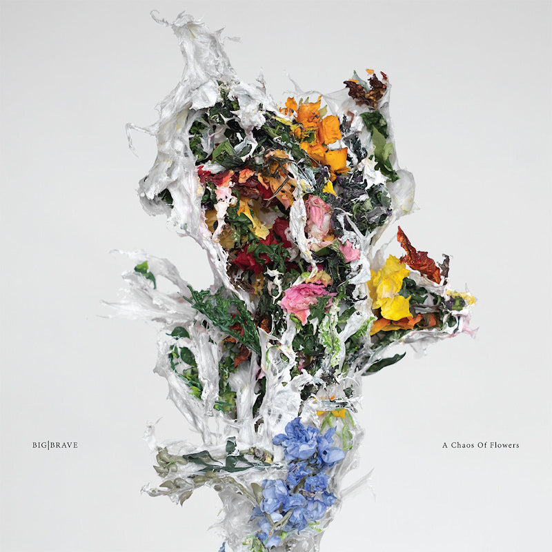 Big Brave - A chaos of flowers (Pink, Transparent, Coloured Vinyl LP)