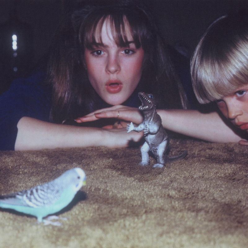 Big Thief - Masterpiece (LP)