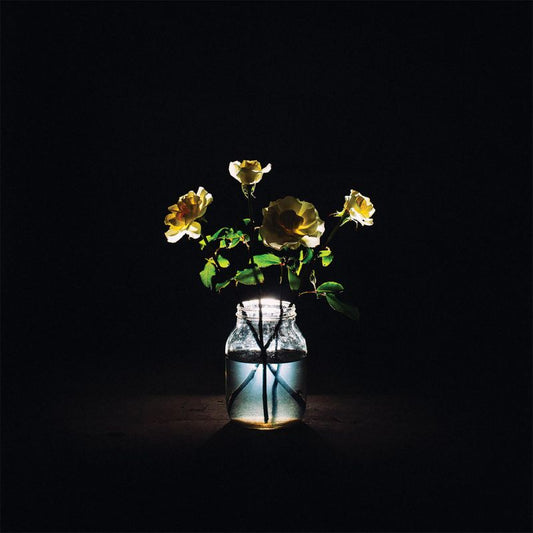 Billy Strings - Renewal (LP)