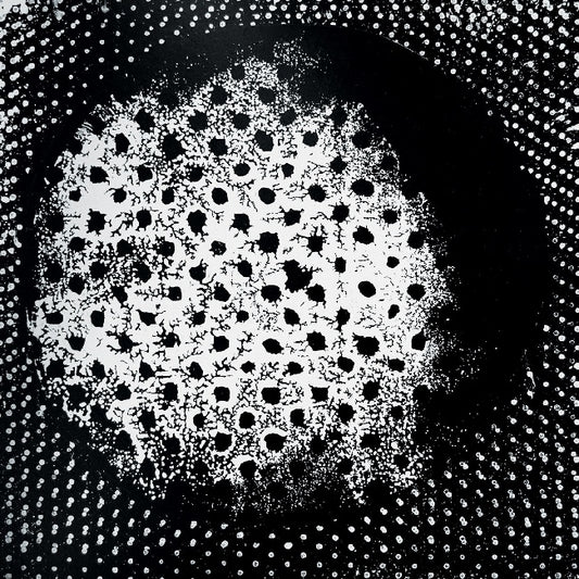Biosphere - Patashnik (1994 Album, Reissue LP)