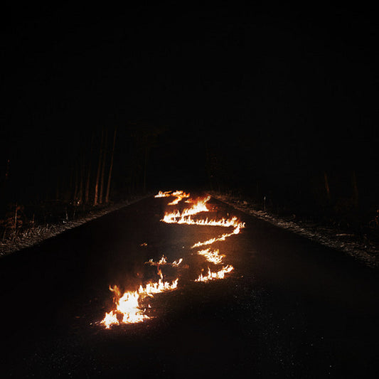 Bob Moses - Battle lines (Gatefold + Download Card, Gatefold Sleeve LP)
