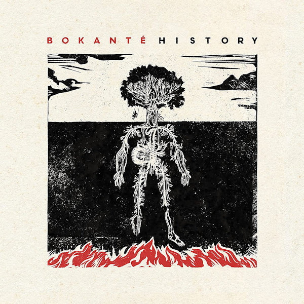 Bokante - History (CD)