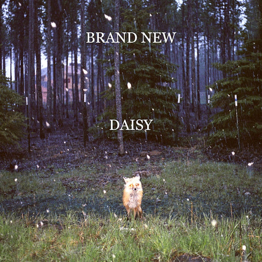Brand New - Daisy (Gatefold, Gatefold Sleeve LP)