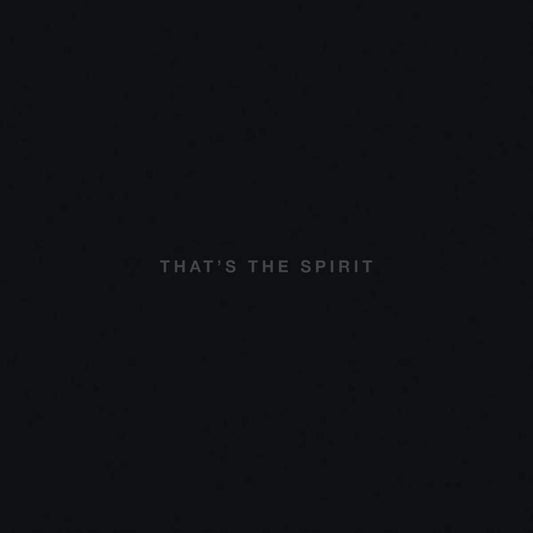 Bring Me the Horizon - That's the spirit (4551838 LP)
