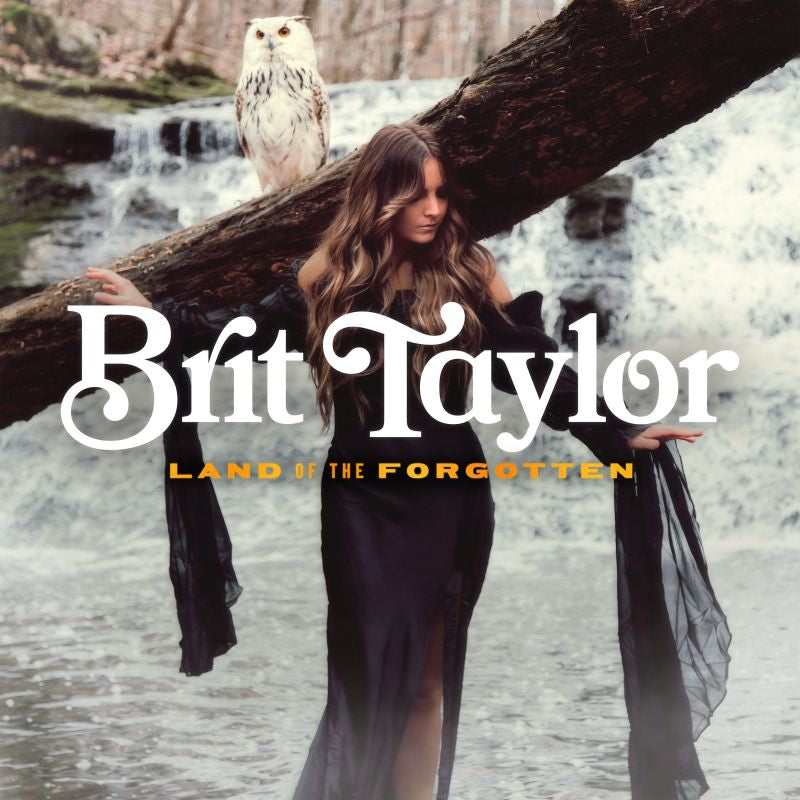 Brit Taylor - Land of the forgotten (LP)