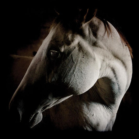 Brother Dege - How to kill a horse (LP)