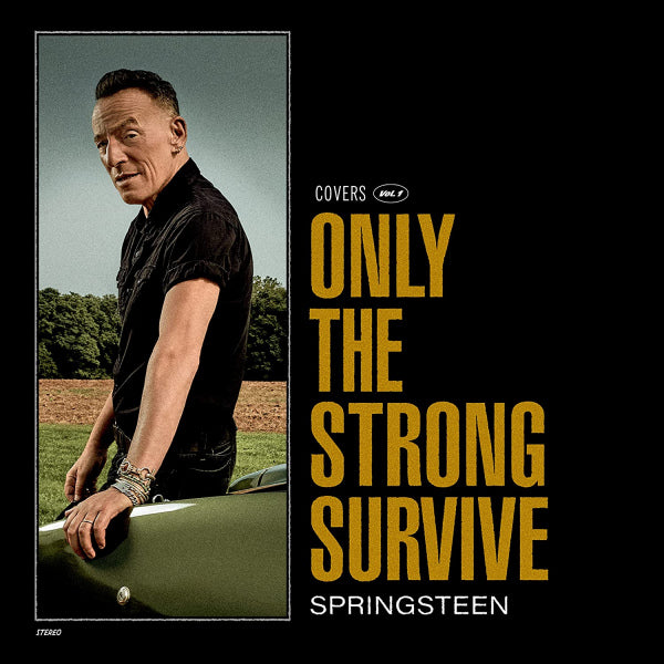 Springsteen, Bruce - Only the strong survive (.. Strong Survive / Orbit Orange/Incl. Poster / Etch D, Gatefold Sleeve, Coloured Vinyl LP)