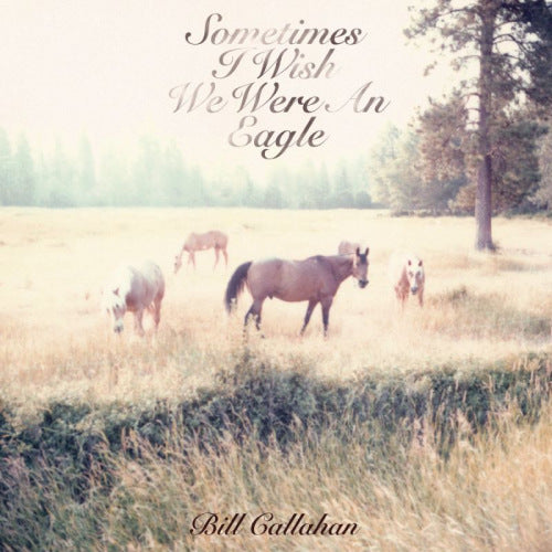 Bill Callahan - Sometimes i wish we were (CD)