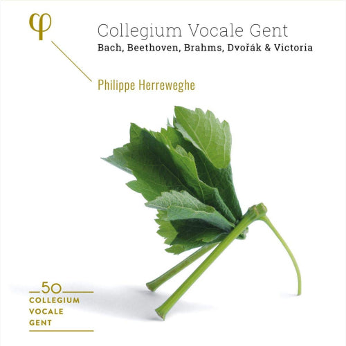 Collegium Vocale Gent / Philippe Herreweghe - 50th anniversary (CD)