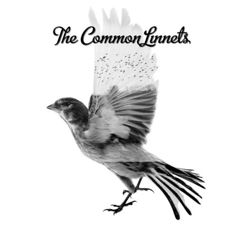 Common Linnets - Common linnets (=Ilse & Waylon, 2014 Dutch Representatives Eurovision= CD)