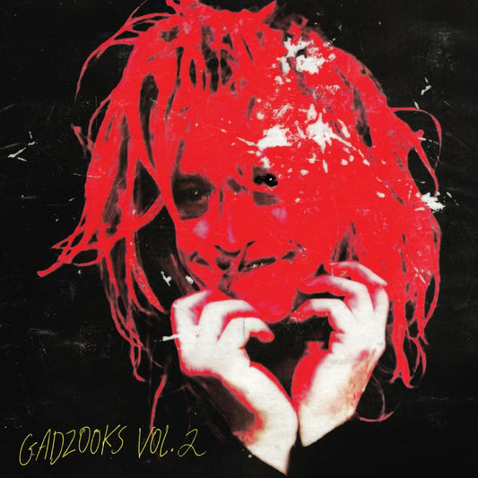 Caleb Landry Jones - Gadzooks vol. 2 (LP)
